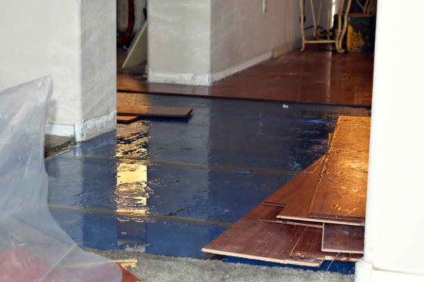 Professional Burst Pipe Cleanup technician working in Shirley, IN